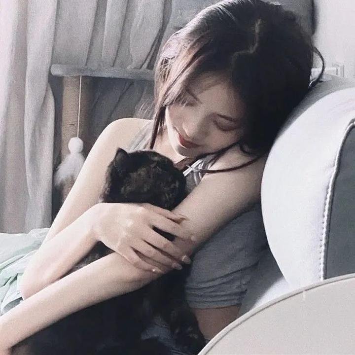 贵妃生存法则第二季